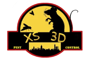 XS3D